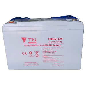 Tian Neng TNE12-125 - BatteryHouse battery